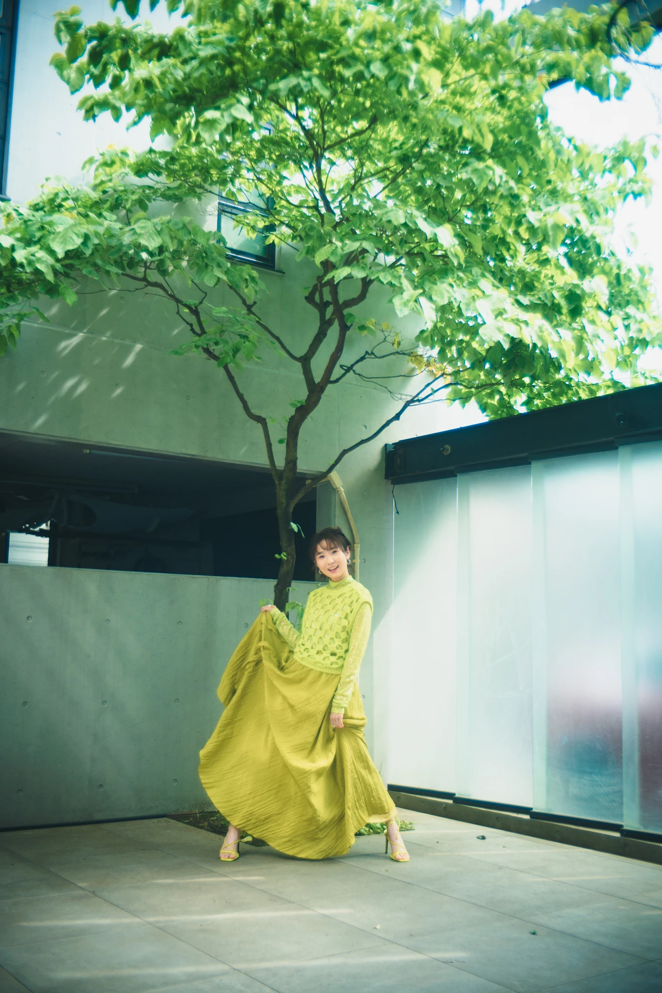大河杏