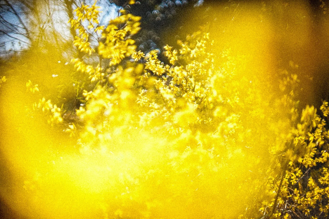 Snapshot — Makino Shota