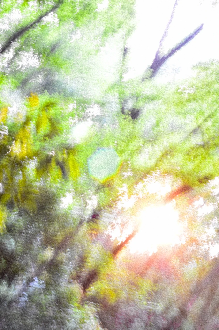 Snapshot — Makino Shota