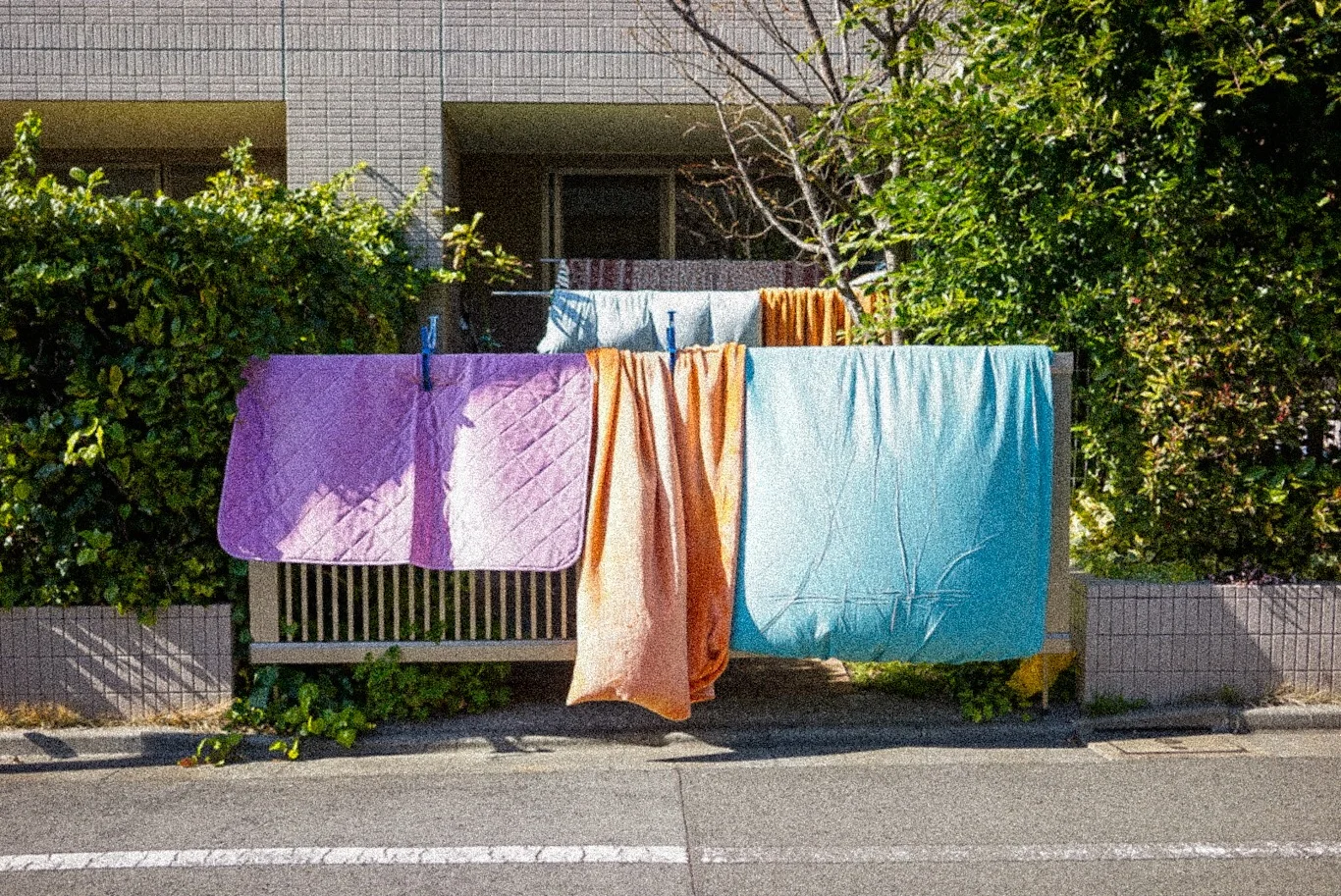 Snapshot #13 — Makino Shota