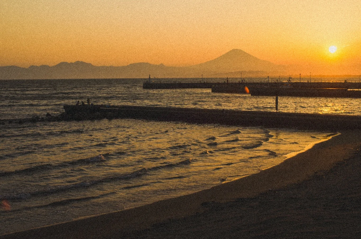 Snapshot #19 — Makino Shota