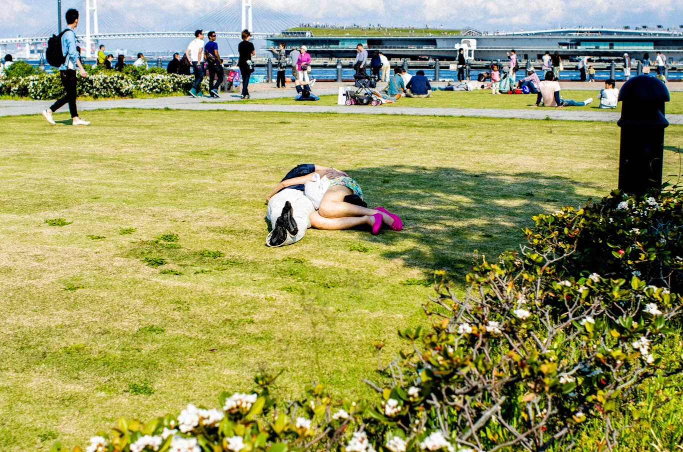 Snapshot #23 — Makino Shota