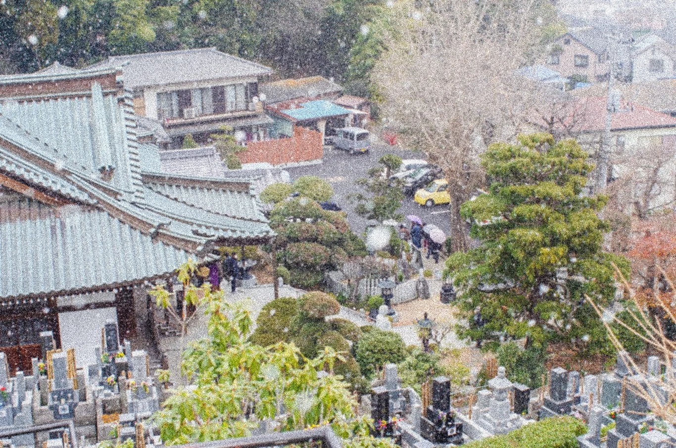 Snapshot #28 — Makino Shota