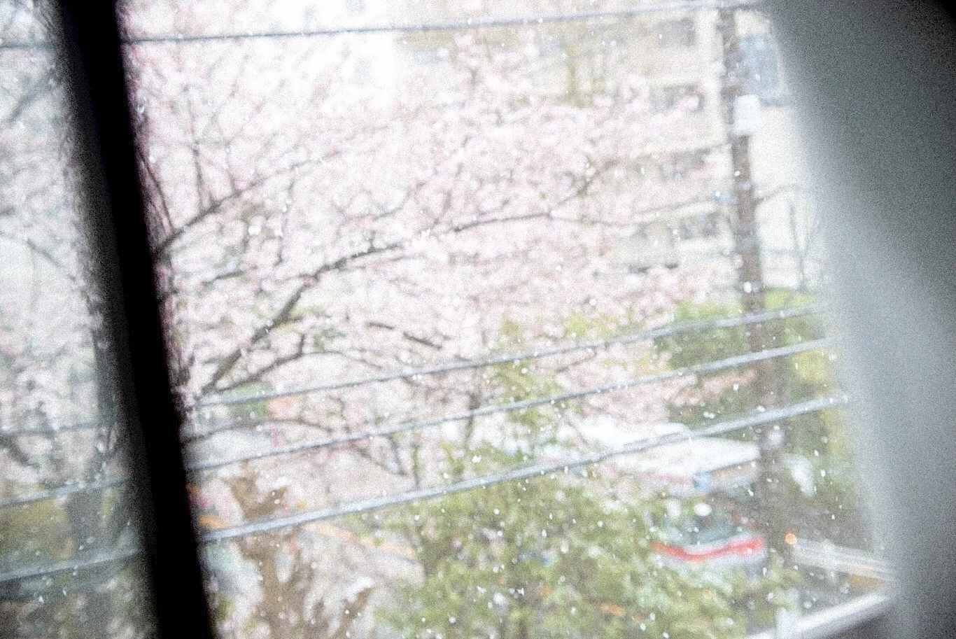 Snapshot #32 — Makino Shota
