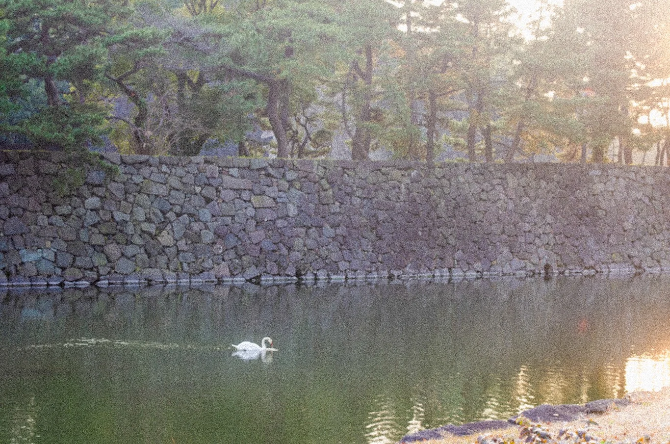 Snapshot #34 — Makino Shota